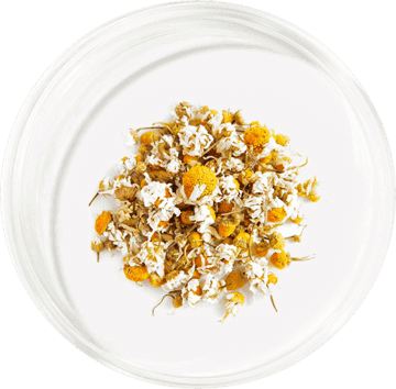 Chamomile Extract