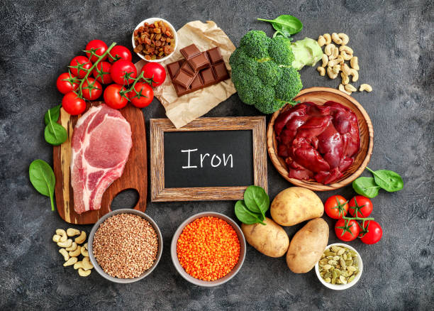 Role of Iron In The Human Body