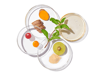 Ingredients palate of skin gummies